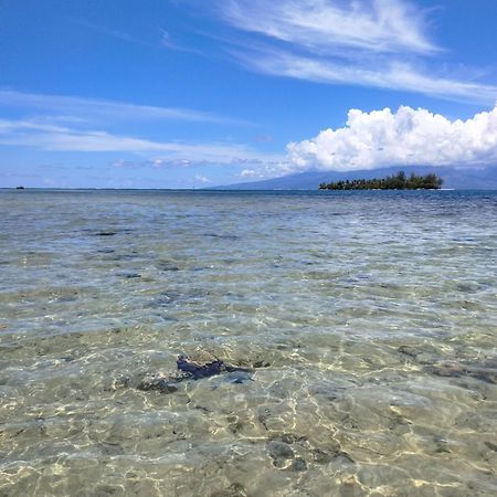 Bungalow Vue Lagon 180 Degre, La Maison Bleue 莫雷阿 外观 照片
