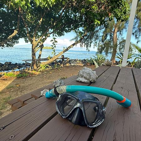 Bungalow Vue Lagon 180 Degre, La Maison Bleue 莫雷阿 外观 照片