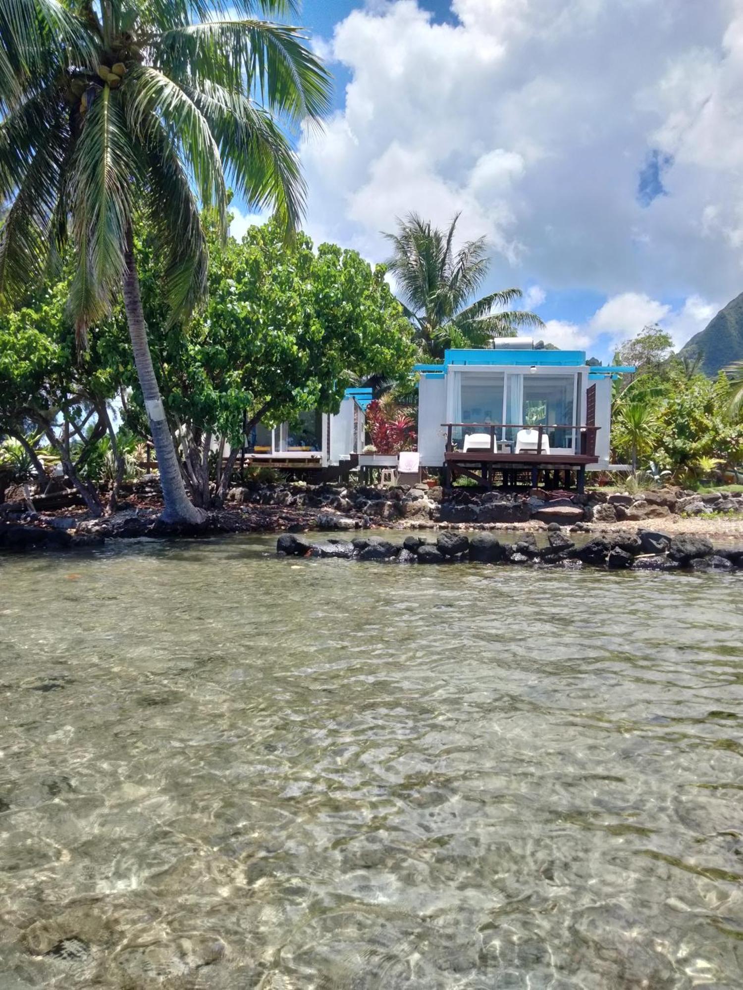Bungalow Vue Lagon 180 Degre, La Maison Bleue 莫雷阿 外观 照片