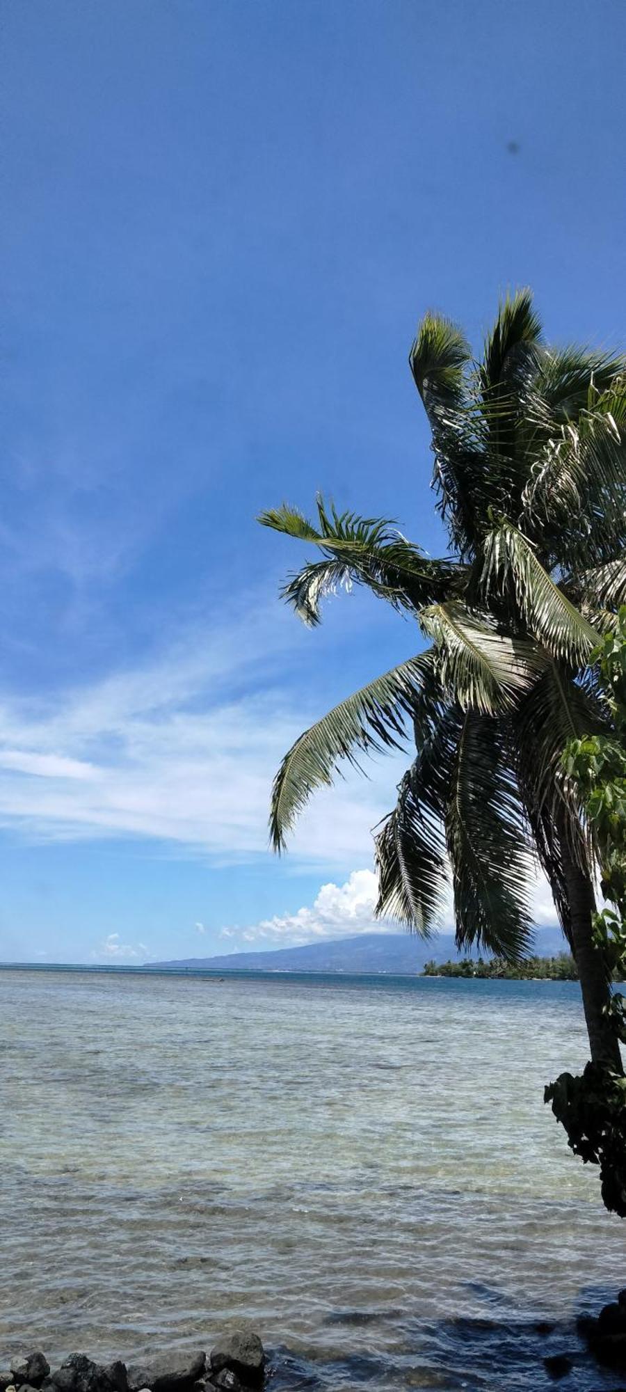 Bungalow Vue Lagon 180 Degre, La Maison Bleue 莫雷阿 外观 照片